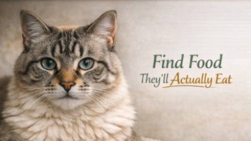 Cat lying on a wooden surface with 'Picky Paws' branding and text about finding food.